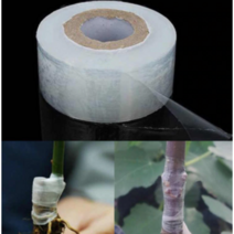 [우야플랜트샵] 수목 접목테이프 100m, 2개