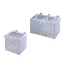 자드 치어망, 소