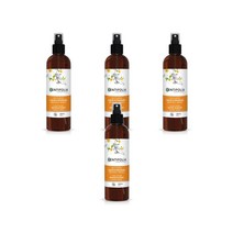 오렌지 블라썸 플로랄 워터 200ml Centifolia Fleur dOranger, 4팩