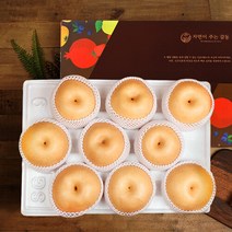 감동 [9/13일부터 순차출고]나주배 7.5kg 7-10과 가정용/상품, 1개
