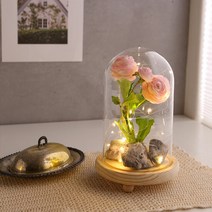 LED 무드 원목 유리돔 글라스돔 (대), 단품