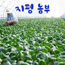 [묽맑은 양평] 지평농부 모듬쌈 & 샐러드채소, 샐러드채소1kg