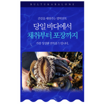 청정해역 전남 완도 보길도 앞바다 전복 1kg 14미