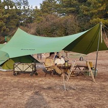 블랙디어 면 헥사타프 캠핑 대형 옥타타프 그늘막, 8각, 그린