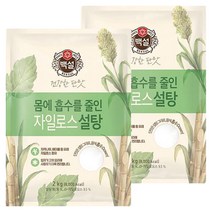 백설 하얀자일로스설탕 2kg 2개, 백설 하얀자일로스설탕 2kg X 2