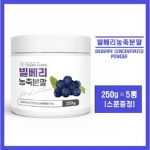 빌베리 분말 가루 파우더 오스트리아산 빌베리 농축액 100% 안토시아닌 폴리페놀 고함량 온가족 눈 건강 추천, 5통, *빌베리 분말 250g (스푼증정)