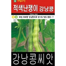 [워터트리몰] 채소 종자 재배 씨앗 적색난쟁이 강낭콩씨앗(30g) (A)