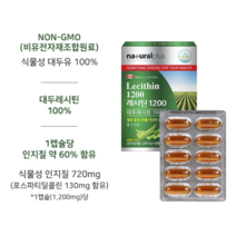 캐나다레시틴1200 대두레시틴100%, 2개월분