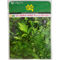 재래종 쑥씨앗1만립 피레트린 성분 다량 함유 식용 쑥종자 아람종묘