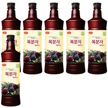 광야식품 복분자 베이스 970ml, 6개