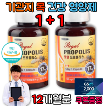 입안돌기 입이헐었을때 기관지 목 면역력 저하 높이는 영양제
