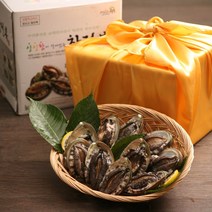 완도 전복선물세트 1kg(9-10미)/국내 양식산, 단품