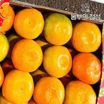농부의정성 제주 하우스귤 선물용로얄대과 5kg, 없음