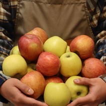 산지직송 당일발송 부사 시나노골드 쥬스용 사과 3kg 5kg 10kg, 정품(흠집x/선물용), 중대과 10kg (28-32과)