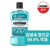 리스테린 쿨민트 구강청결제, 1000ml, 1개