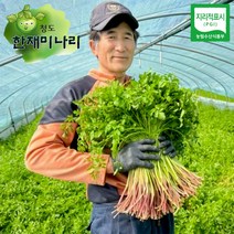[산지직송] 한재미나리 2kg 청도 박선진 농부의 한재미나리 깨끗한 향긋한 지리적표시농산물, 단품