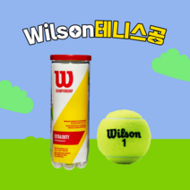Wilson 윌슨 테니스공 챔피언쉽 엑스트라 듀티 3개입 1캔 WRT100101