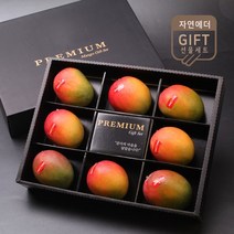 [KT알파쇼핑]애플망고8과 선물세트 (개당330g내외)