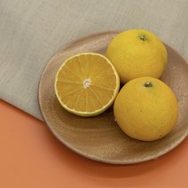 순수농장 제주 황금향 추석 명절 선물세트 2kg 3kg 5kg 가방포장 1박스, 새콤달콤 황금향 중과5kg