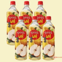 해태음료 갈아만든배 갈배 1L X 6개 술먹고난후, 해태음료 갈아만든 배 1L X 6ea