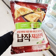 풀무원 납작 지짐만두 490gx2입, 옵션2 - 신선포장 (아이스박스포장)