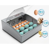 계란부화기 자동 병아리 인큐베이터 가정용 조류 부화 거위 오리, 9란-색상랜덤