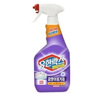 유한락스 멀티액션 곰팡이 제거제, 510ml, 2개