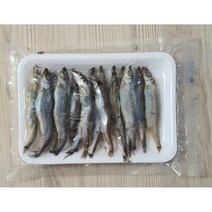 생물 냉동 빙어미끼 150g 농어 우럭 광어 벵에돔 풀치, 생물450g