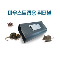 쥐약용기 쥐 터널 구서트랩(쥐잡기 포수 퇴치 쥐약파는곳), 1개