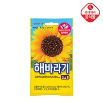 롯데 해바라기 초코볼 30g/과자/간식/초코렛/초콜릿/에이비씨/발렌타인 식품 > 스낵/간식 초콜릿/사탕/젤리/껌 초콜릿/초코바 밀크초콜릿, 1″ class=”wr-img”></a></div></p></div></p></div></p></div><div class=