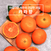 제주 카라향 5kg (못난이 / 벌크포장) 하우스 노지 고당도 귤 감귤 밀감 레드향 천혜향 카라향 청귤 수라향 신비향 가정용 추석 명절 설 감사 은사 선물 조생 타이벡, 못난이