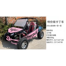 크레이지카트 카트 전기차 전동 이동수단, B