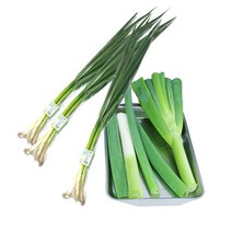 [오창농협] 친환경 근대 300g x 2봉, 1팩