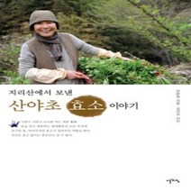 [개똥이네][중고-최상] 지리산에서 보낸 산야초 효소 이야기