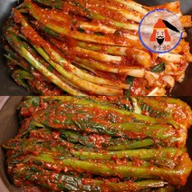 [황장군] 당일제조 여수 전라도 파김치 돌산 갓김치 1kg 2kg 3kg 갓파세트, 갓김치1kg +파김치 1kg 세트
