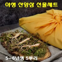 경성건강원 산양삼 생산양삼 자연산 산양산삼 뿌리 잎 녹즙 씹어먹는 사포닌 면역력 기력 국내산 강원도 쥬스 부모님선물 먹는법 선물세