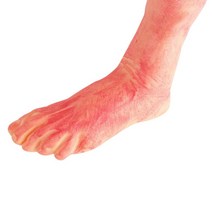 파티팡 공포의 잘린 모형, 다리, 1개