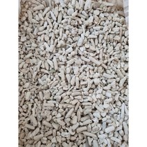 염도제거 뼈산호 120g 산호사 달팽이 칼슘 어항인테리어