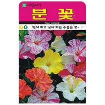 드라이플라워 소재 카나리아사초 20립, 덕용포장 200립