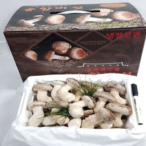 알뜰 식당용 송향버섯 오전11시까지 주문건은 (명절.공휴일.토.일요일 제외), 선물용일품1kg