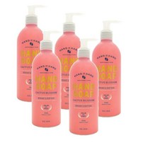 핸드인핸드 핸드워시 손세정제 핸드솝 액체비누 10oz 선인장 블라썸 300ml HAND IN HAND Hand Soap Cactus Blossom, 5개