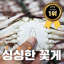 [대풍수산] 100%국내산 연평도 급냉꽃게, 3.연평도 급냉 숫꽃게 중 1kg(4~6미)