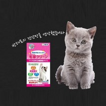 바보사랑 코모 클린 고양이 헤어볼 영양제 헤어볼제거제.라이프 트렌드