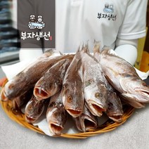 국산 제수용 생선 참조기 (22~23cm) 병어 민어 참돔 양태 제사생선 / 반건조 국산조기, 참조기 5마리