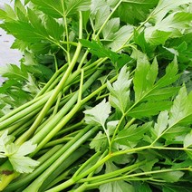 친환경 무농약 유기농 신선초 1kg 2kg, 유기농 신선초 1kg (즙용), 1개