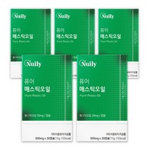 그리스산 매스틱 오일 mastic oil 캡슐 매스틱검 MASTICGUM, 비타리온, 5개, 30캡슐