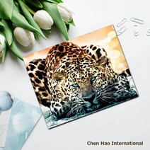 ChenHao 3D 보석십자수 캔버스50x40CM DIY 키트 프레임이있 +상품증정, 푸른 눈의 호랑이PA094 X 1세트