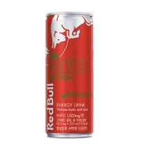 레드불 존맛탱 레드에디션 수험생 야근 고카페인 타우린음료 250ml 24캔 1세트