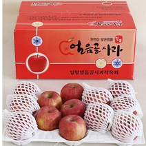 밀양사과 밀양얼음골사과 홍로사과 10kg 43과 사과따기체험 사과다이어트 사과빵 사과잼 사과쥬스, 상세페이지 참조