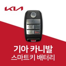 기아 카니발 차키 건전지 스마트키 배터리 밧데리 약, 4개
